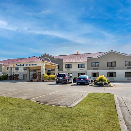 Comfort Inn & Suites Leeds I-20 Bagian luar foto